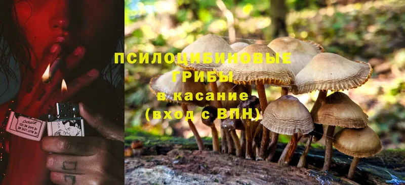 купить закладку  MEGA tor  Галлюциногенные грибы MAGIC MUSHROOMS  Азов 